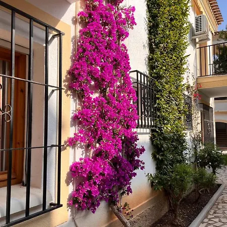 Birds Paradise Vera Coast Apartment